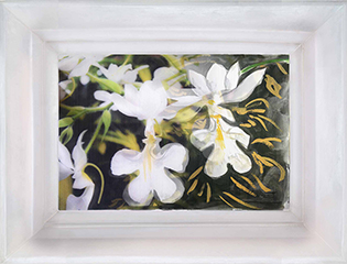 Poisoned Flowers - plexiglass cast and lenticular printing, 2016